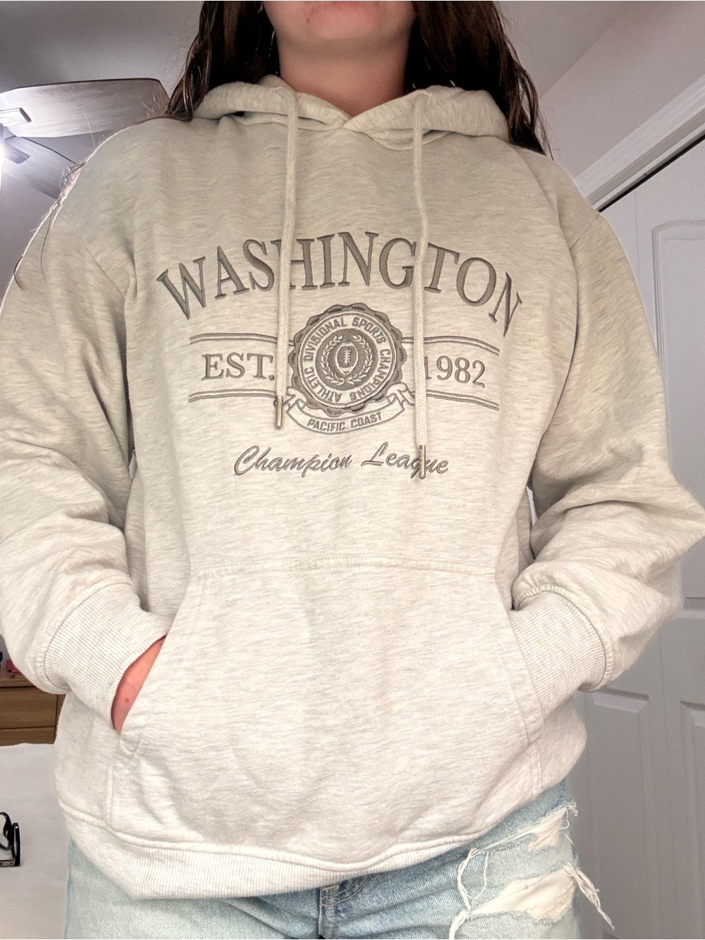 Garage Washington Graphic Hoodie - Light Gray